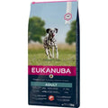 Eukanuba L/XL visavertis pašaras suaugusiems šunims su lašiša ir miežiais, 12 kg