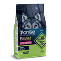 Monge BWild adult sausas pašaras suaugusiems šunims su šerniena 12kg
